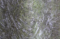 Vron Gate fibreglass roof work