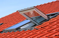 Vron Gate roof window